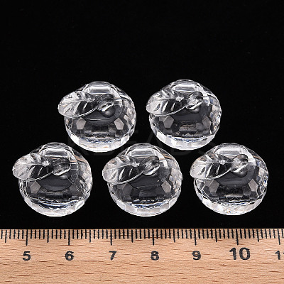 Transparent Acrylic Pendants LS-TACR-T024-05B-205-1