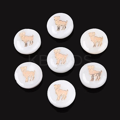 Natural Freshwater Shell Beads SHEL-N037-02E-G-1