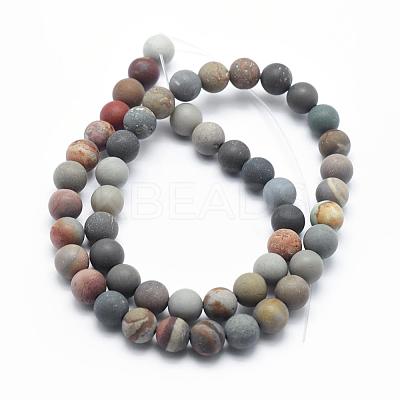 Natural Ocean Agate/Ocean Jasper Beads Strands G-G716-02-6mm-1