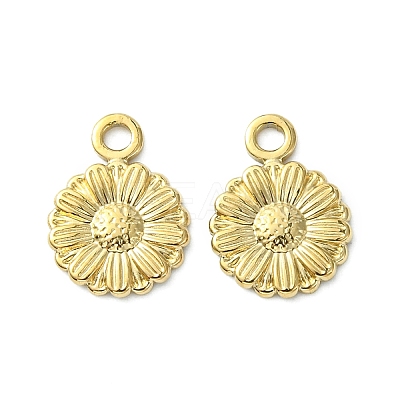 304 Stainless Steel Charms STAS-L269-056G-1