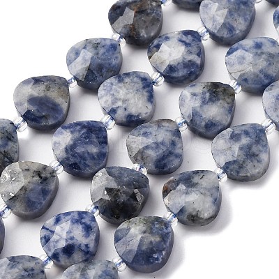 Natural Blue Spot Jasper Beads Strands G-P570-E19-02-1
