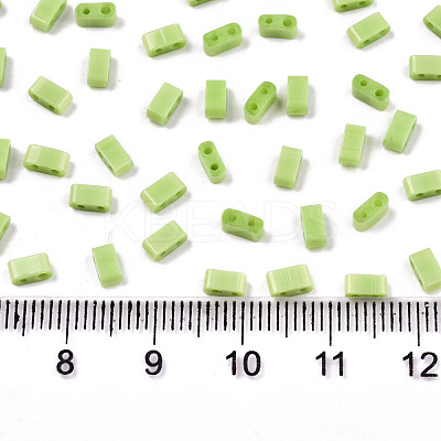 FGB 2-Hole Glass Seed Beads X-SEED-S031-M-SH44-1