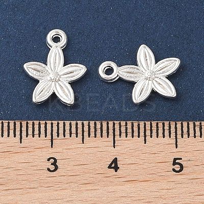 Tibetan Style Alloy Pendants LS-K093E021-1