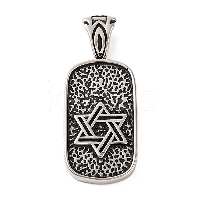 316 Surgical Stainless Steel Big Pendants STAS-Z073-56AS-01-1