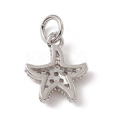 Brass Micro Pave Cubic Zirconia Charms LS-ZIRC-F132-13P-1