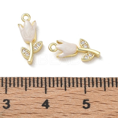 Brass Micro Pave Clear Cubic Zirconia and Enamel Charms KK-A300-22G-1