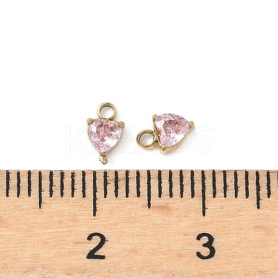 304 Stainless Steel Charms STAS-C134-30G-1