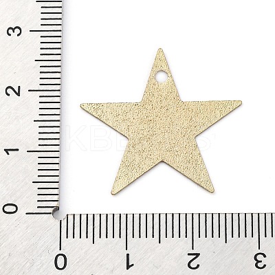 Geometric Alloy Sheet Printed Pendant Earrings Accessories PALLOY-E139-01G-02-1