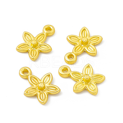 Rack Plating Alloy Charms FIND-G045-05MG-1