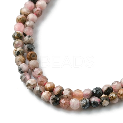 Natural Argentina Rhodonite Beads Strands LS-G-M399-01A-1