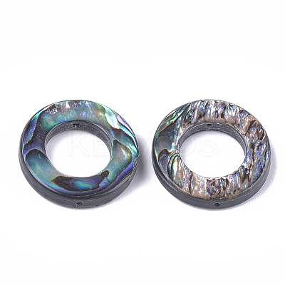 Natural Abalone Shell/Paua Shell Bead Frames X-SSHEL-T008-17-1