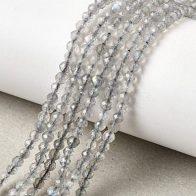 Natural Labradorite Beads Strands G-H336-A08-02-1