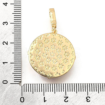Brass Micro Pave Cubic Zirconia & Enamel Pendants KK-R222-14G-04-1