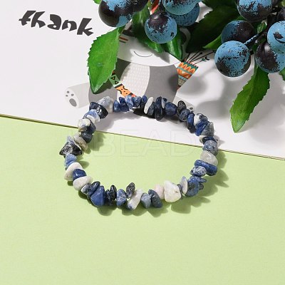 Natural Sodalite Chip Beads Stretch Bracelets BJEW-JB05765-03-1