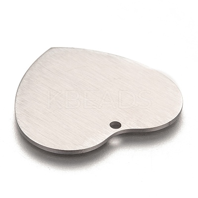 Tarnish Resistant 304 Stainless Steel Pendants STAS-O-133-02G-P-1