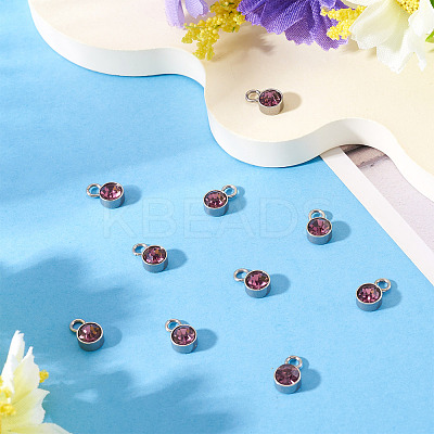 10Pcs Glass Rhinestone Charms STAS-TA0003-26H-1