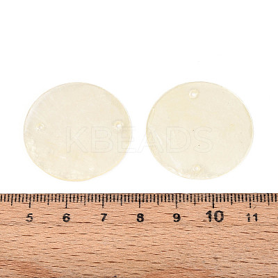 Spray Painted Natural Capiz Shell Disc Links Connector Charms SSHEL-T017-32H-1