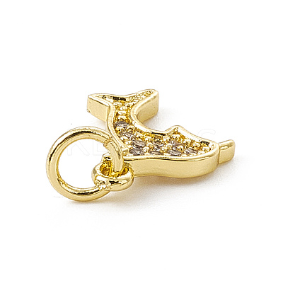 Brass Micro Pave Cubic Zirconia Charms ZIRC-F132-47G-1