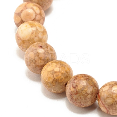 8.5mm Dyed Natural Maifanite/Maifan Stone Round Beads Stretch Bracelet for Girl Women BJEW-JB07178-1