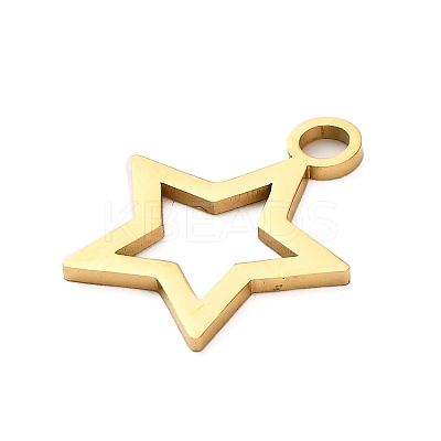 304 Stainless Steel Pendants STAS-M117-01C-G-1