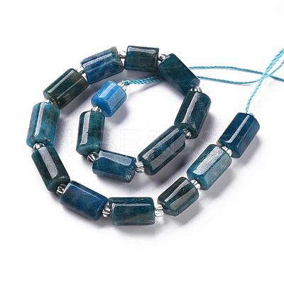 Natural Apatite Beads Strands X-G-S345-8x11-003-1