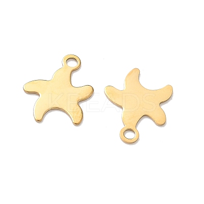 304 Stainless Steel Charms STAS-Z184-14G-01-1