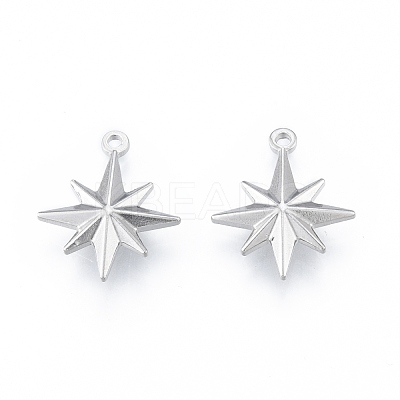 Non-Tarnish 304 Stainless Steel Pendants STAS-N097-256P-1
