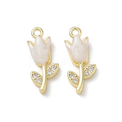 Brass Micro Pave Clear Cubic Zirconia and Enamel Charms KK-A300-22G-1