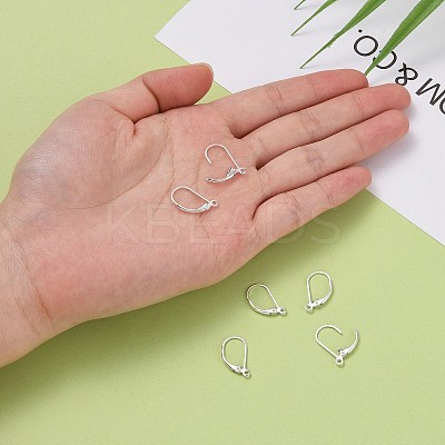 925 Sterling Silver Hoop Earrings STER-P032-06S-1