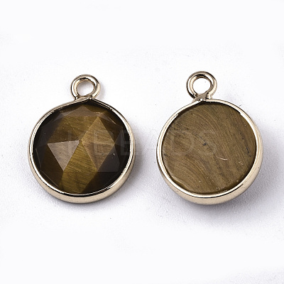 Natural Tiger Eye Charms G-N326-49D-1
