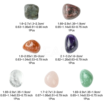 7Pcs Natural Labradorite & Amethyst & Rose Quartz & South Red Agate & Rhodonite & Green Aventurine & Quartz Crystal Tumbled Stone Sets DIY-FS0007-10B-1
