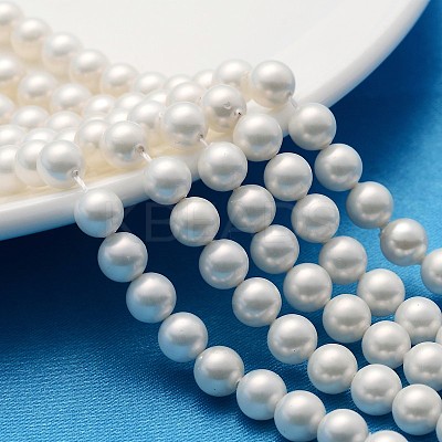 Polished Shell Pearl Round Beads Strands X-SP6MM701-1