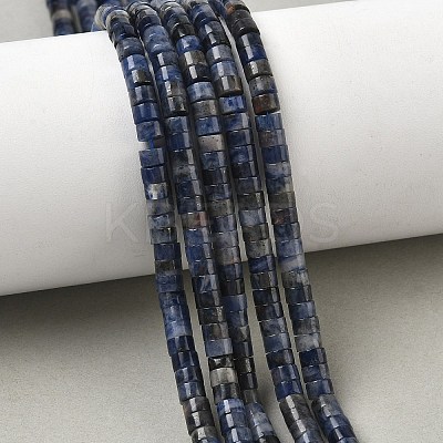 Natural Sodalite Beads Strands G-H230-10-1