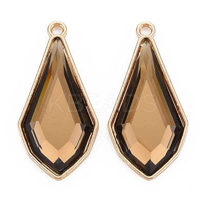 Faceted Glass Pendants PALLOY-N167-10-01LG-RS-1