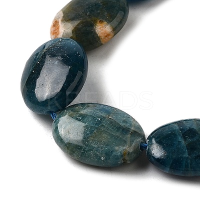 Natural Apatite Beads Strands G-Q026-A01-03-1