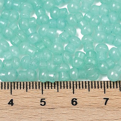 Transparent Colours Glass Seed Beads SEED-R001-01Q-1