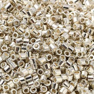 Electroplate Glass Seed Beads X-SEED-S042-01B-08-1