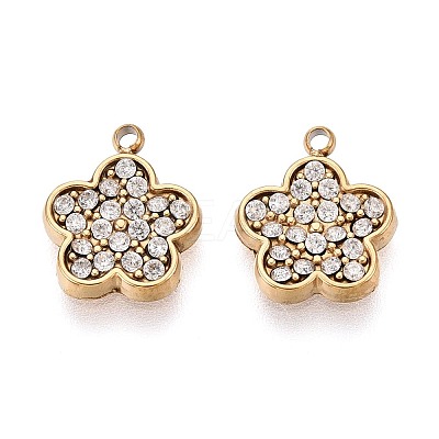 304 Stainless Steel Micro Pave Cubic Zirconia Charms STAS-N115-50G-1