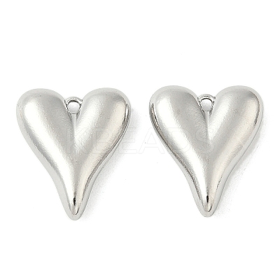 304 Stainless Steel Pendants STAS-L293-12P-1