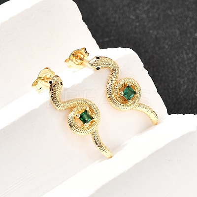 Snake Brass Micro Pave Cubic Zirconia Stud Earrings EJEW-A135-09G-1