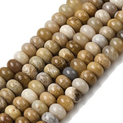 Natural Fossil Coral Beads Strands G-A280-A08-01-1