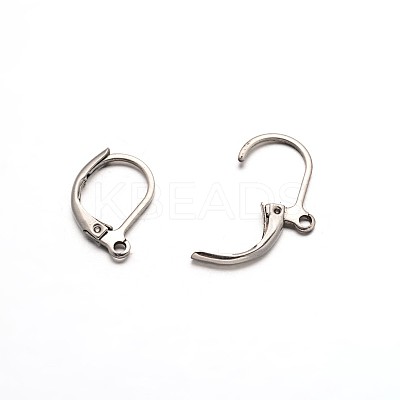 Tarnish Resistant 304 Stainless Steel Leverback Earring Findings LS-STAS-L153-05-1