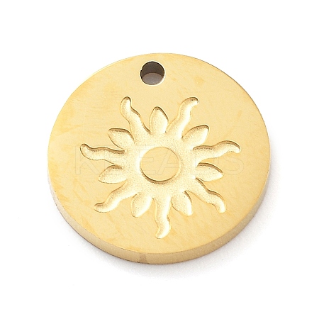 304 Stainless Steel Charms LS-STAS-I327-01G-02-1