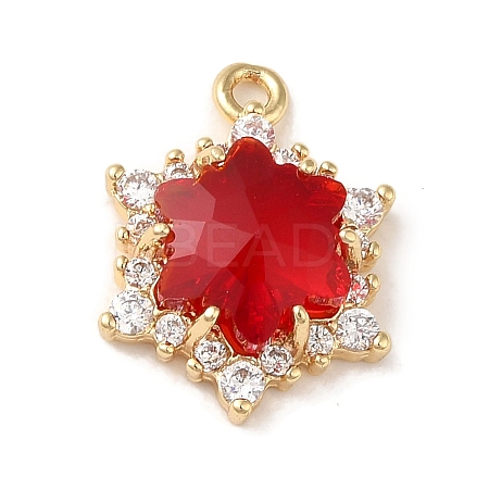 Brass with Cubic Zirconia Pendants KK-G499-15G-04-1