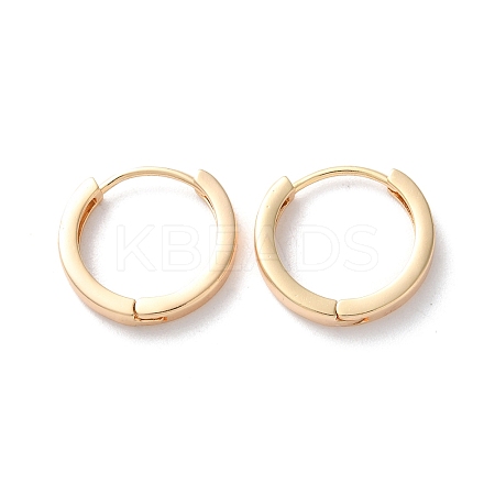 Rack Plating Brass Hoop Earrings EJEW-S241-13G-1