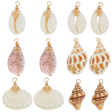 36Pcs 6 Styles Natural Mixed Shell Pendants PALLOY-PHE00014-1