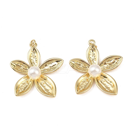 Brass Pendants KK-L255-23G-02-1