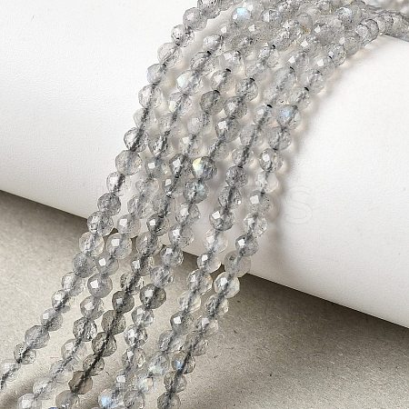 Natural Labradorite Beads Strands G-H336-A08-02-1