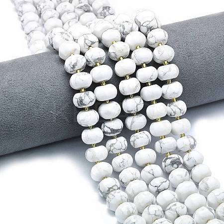 Natural Howlite Beads Strands G-P573-B02-01-1