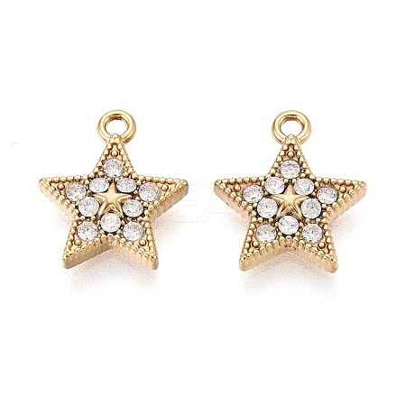 304 Stainless Steel Micro Pave Cubic Zirconia Charms STAS-N115-52G-1
